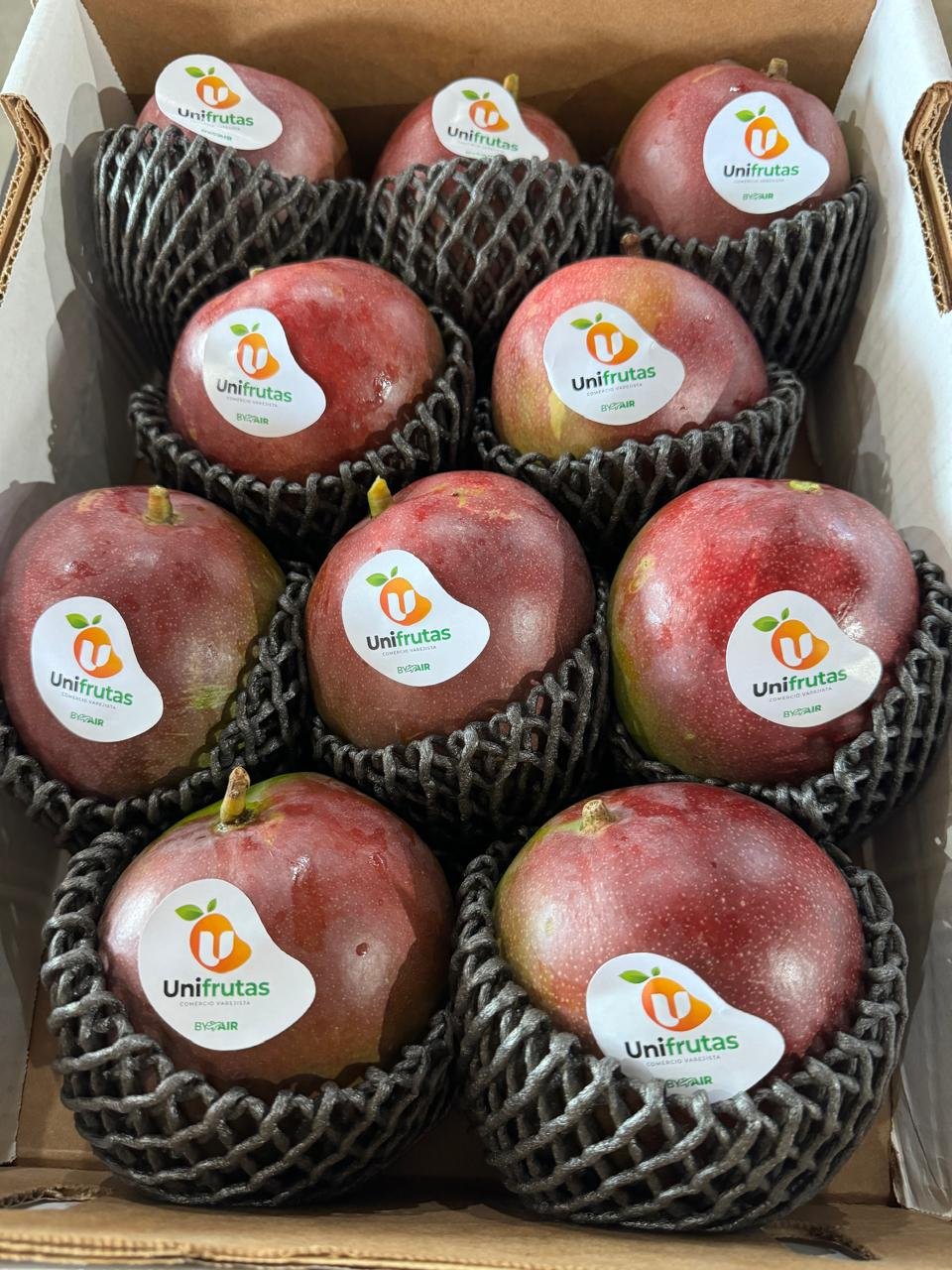 Melhor Manga do Brasil