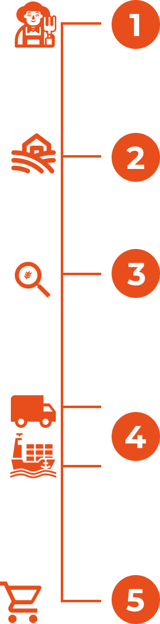 Processo de exportação de frutas